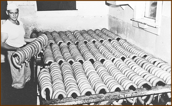 Troyer's Genuine Trail Bologna History